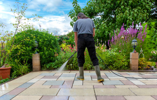 Best Winterizing Services  in Oneida, NY
